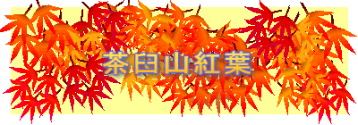 ���P�R�g�t